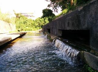 ありがとう39ツアー【沖縄で湧水を巡る旅　中編】