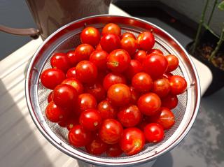 39クッキング【常夏のチリコンカン】