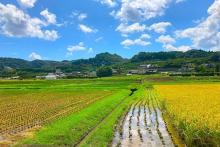 第20期ありがとうファンド運用報告（2023年8月末～2024年9月2日）