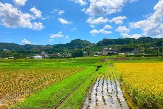 第20期ありがとうファンド運用報告（2023年8月末～2024年9月2日）