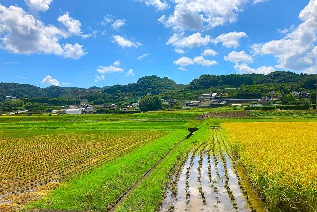 第20期ありがとうファンド運用報告（2023年8月末～2024年9月2日）