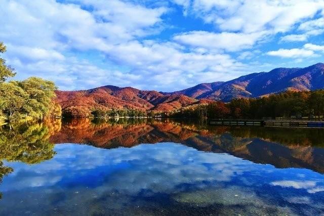 第21期ありがとうファンド運用報告（2024年9月3日～2025年9月1日）