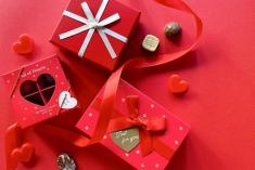 お友達紹介プログラム開始 ＜月次レポート2026年2月より＞